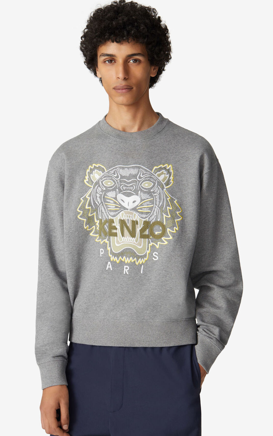 Kenzo Tiger Sweatshirt Herre - Grå DK-724081